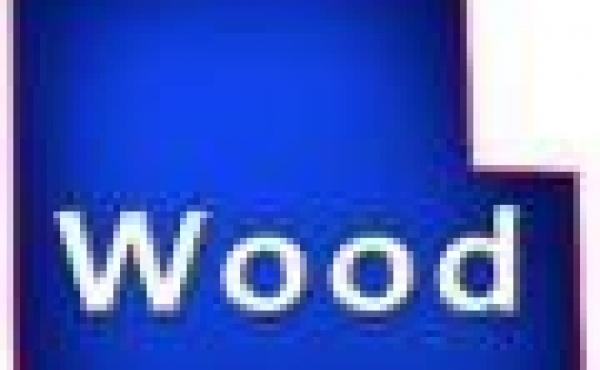 Wood County Wisconsin Manufactured Mobile Homes for Sale